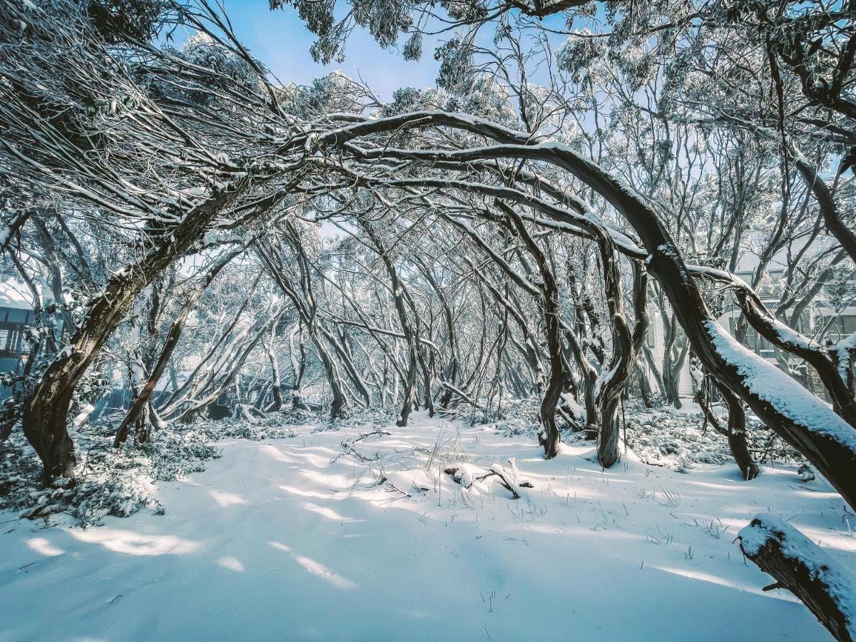 Ajax Ski Club Otel Mount Buller Dış mekan fotoğraf